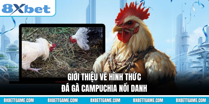 Giới thiệu về hình thức đá gà Campuchia nổi danh